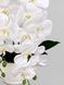 Композиція з білої орхідеї на 2 гілочки у білому керамічному кашпо, висота 55 см А885 фото 4