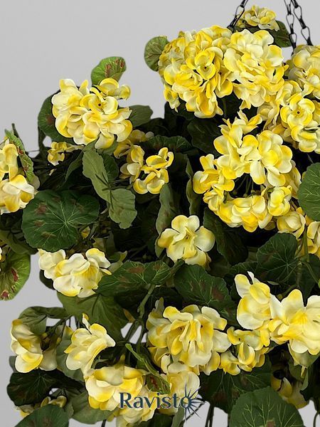Підвісна композиція з біло-жовтої ампельної пеларгонії у кашпо з кокосовою основою, висота 50 см А868 фото