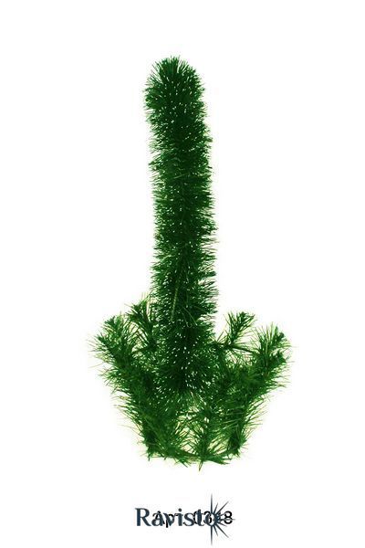Кошик 0,49 йорш 6 білий кінчик 42*31*16 см 0348 фото