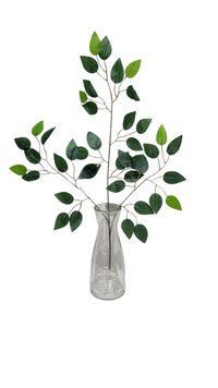 Гілка штучна дерева фікуса Бенджаміна 62 см 12 шт в уп 11169 фото