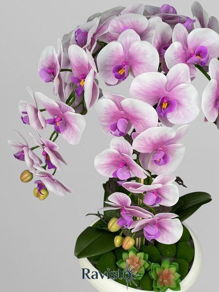 Композиція з білих з бузковим градієнтом штучних латексних орхідей Premium на 5 гілочок у білому пластиковому кашпо А154 фото