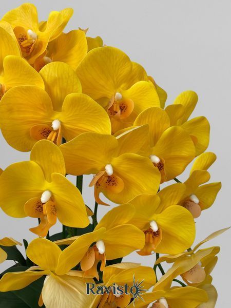 Композиція на підлогу зі штучних жовтих орхідей на 5 гілочок у високому чорному кашпо, висота 115 см А267 фото