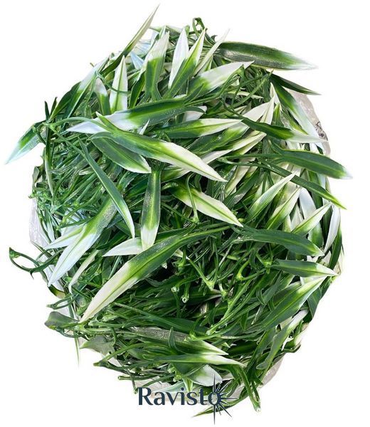 Добавка штучна пластмасова 0,5 кг 15 см 330 шт в уп 23333 фото
