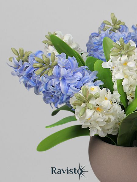 Композиція з білими і синіми гіацинтами у керамічному горщику, висота 40 см А333 фото
